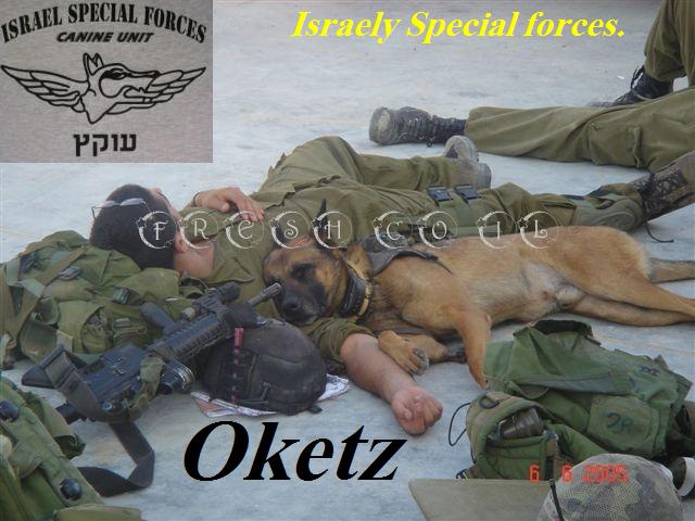 tzahal_oketz_dog_slip_modified