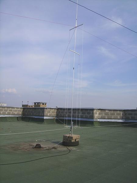 IMGP00021