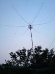 DSC00996.jpg
