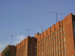 album_1604_1085157639.jpg