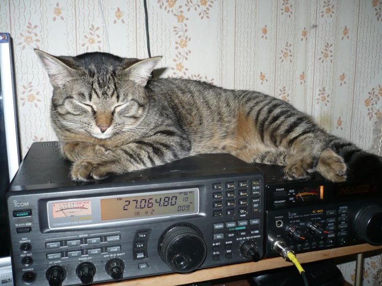   ICOM
