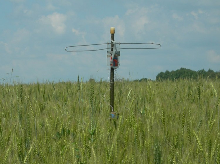    144  432 MHz    . RW3WR FD-2006