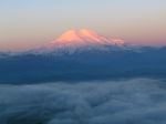 IMG_1256.JPG