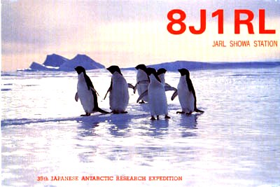 8j1rl1_f