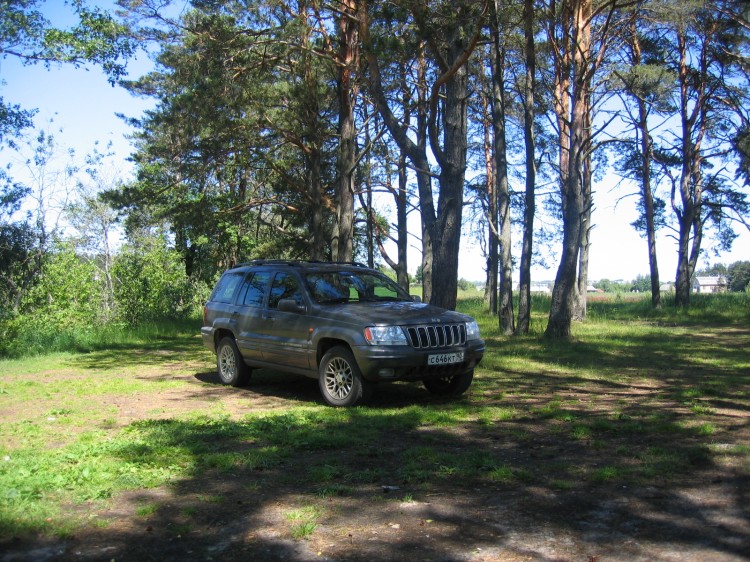   2004.