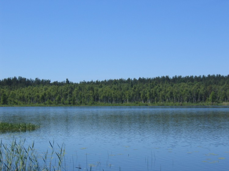   2004.