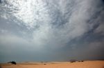 DSC_2294-2.jpg