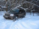 IMG_0976.jpg