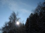 IMG_0985.jpg