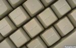 album_521_1062667611.jpg