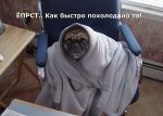 poholodanie.jpg