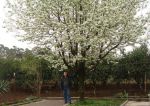 DSC00381.jpg