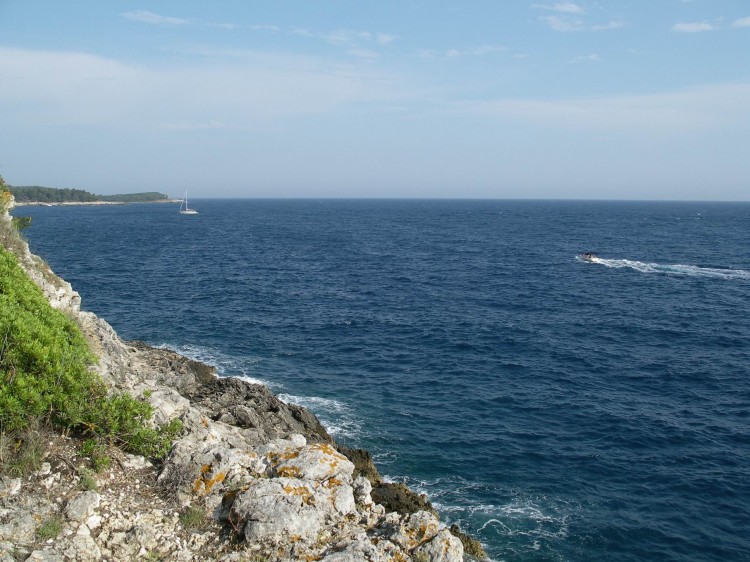 . ( PULA )   2008.
