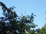 100_2469.jpg