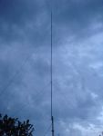 DSC00647.jpg
