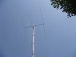 DSC03843.jpg