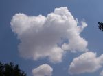 100_2772.jpg