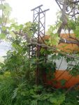 DSC00696.jpg