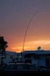 DSC_7527.jpg
