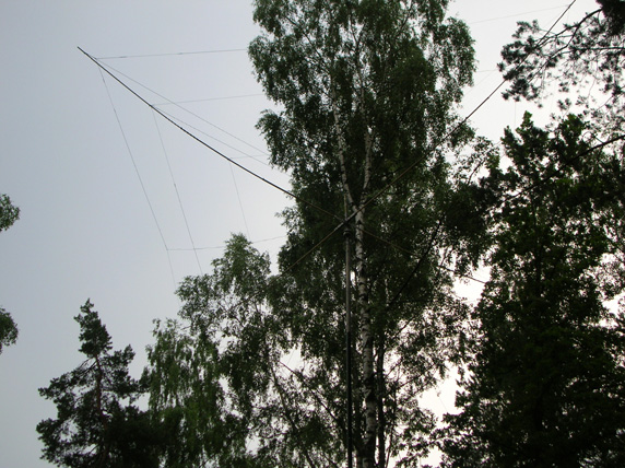 DSCN1944_2