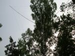 DSCN1944_2.jpg