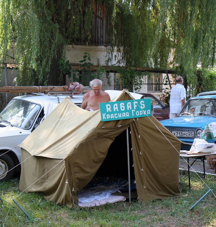     2006 .