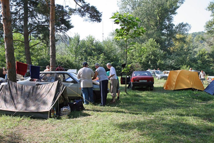     2006 .