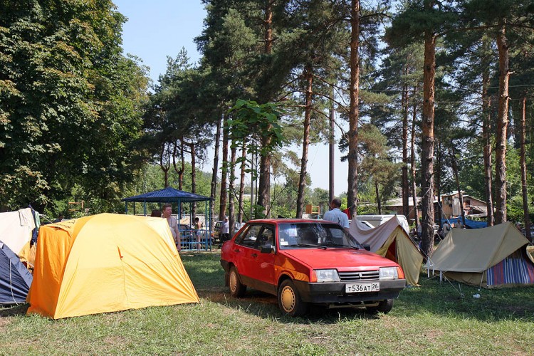     2006 .