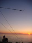 DSC01103.jpg