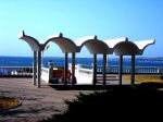 DSC03405_.JPG