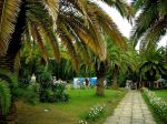 DSC03682-_.JPG