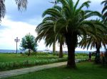 DSC03817-_.JPG