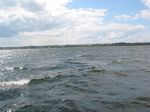 IMG_2581.jpg
