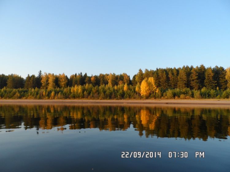   2014