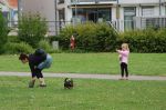 DSC_3812---7.jpg
