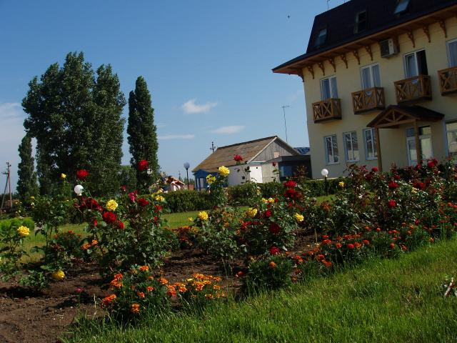 290_big_1173655306