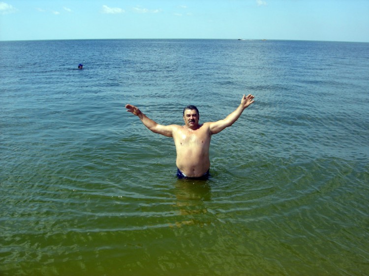   &quot; 2007&quot;
