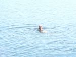 P1050765_2.jpg
