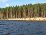 IMG_0226_2.jpg