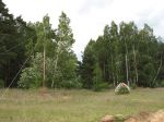 IMG_0285_2.jpg