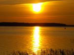 RFF_33_1_257_135_2.jpg
