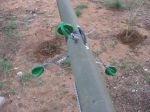 Insulators.jpg