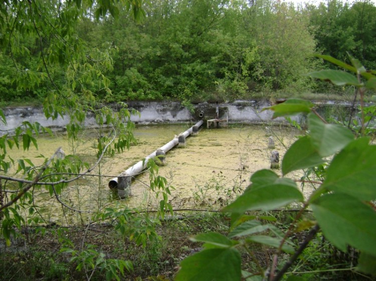 ��� ���� ������������� �������