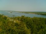 Image_263_.jpg