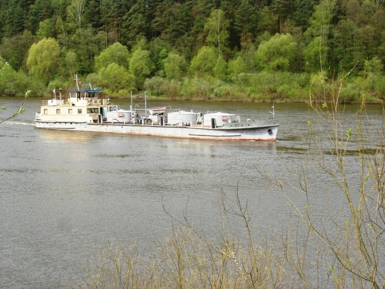 dsc042291