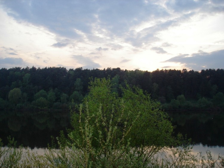 dsc04271