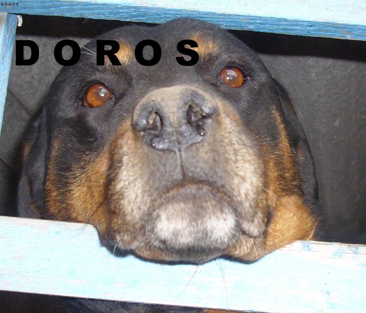 Doros-Ariordan1