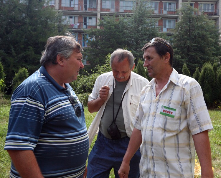     2008 