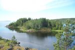 100_0858_800x800.jpg