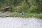 100_1025_800x800.jpg